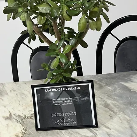 Apartment Prezident M